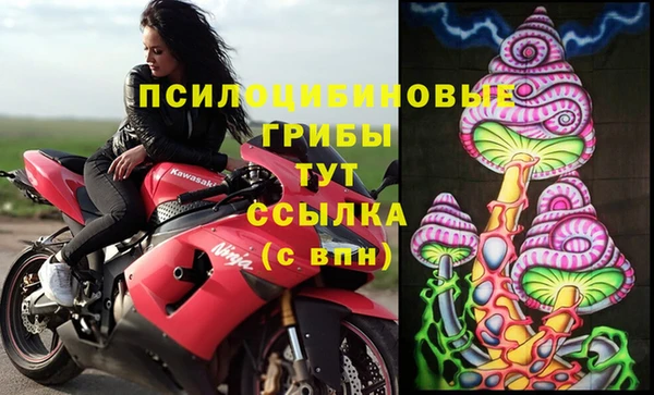 ПСИЛОЦИБИНОВЫЕ ГРИБЫ Балабаново