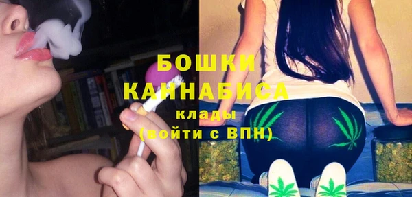 дурь Осташков