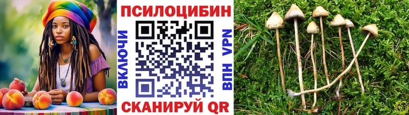 Галлюциногенные грибы MAGIC MUSHROOMS  blacksprut онион  Солигалич 